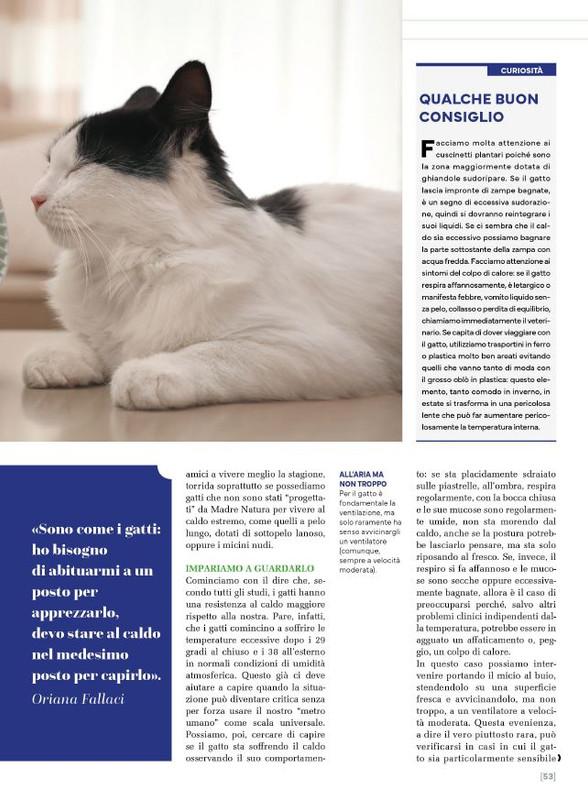 Ga Ma Ago-Set 2025 (8)