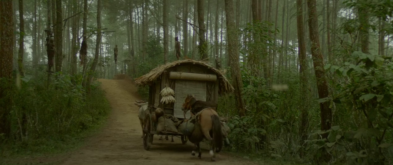 300mbunited.me--00006