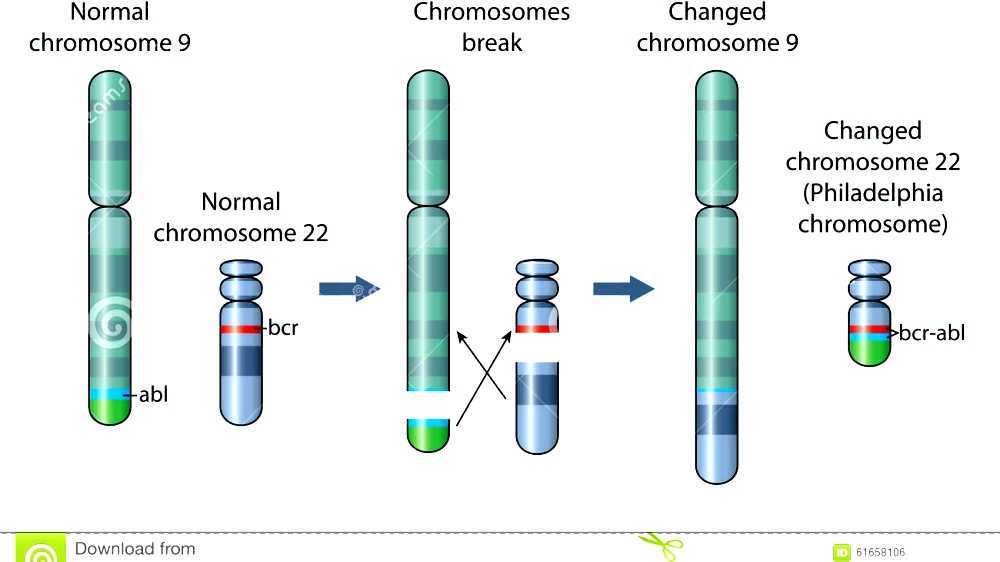 The Mystery of Philadelphia Chromosome