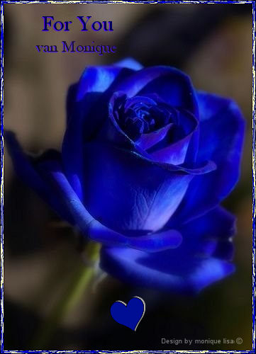 Blauwe-roos-for-you.jpg