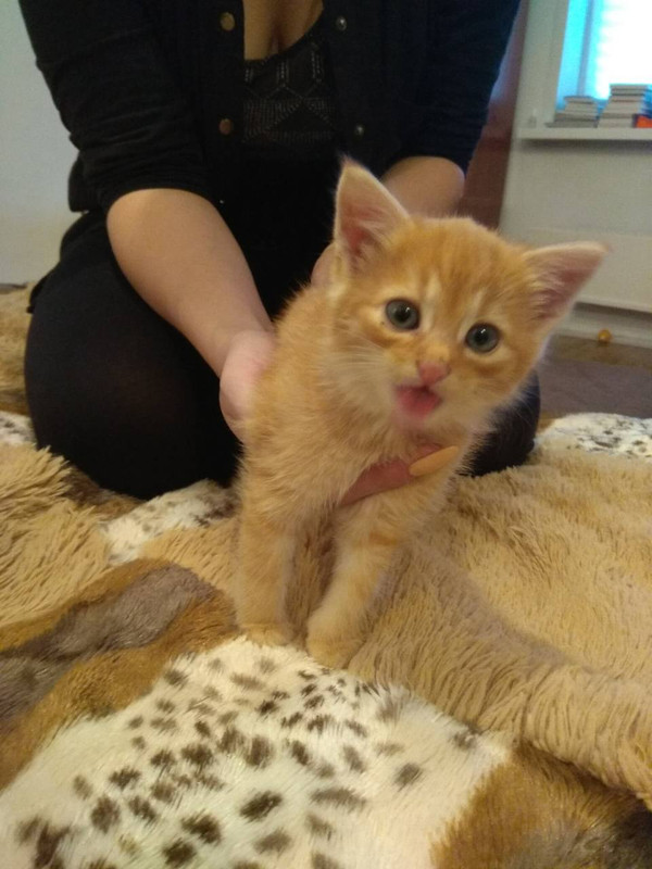 ВтораяПартия2