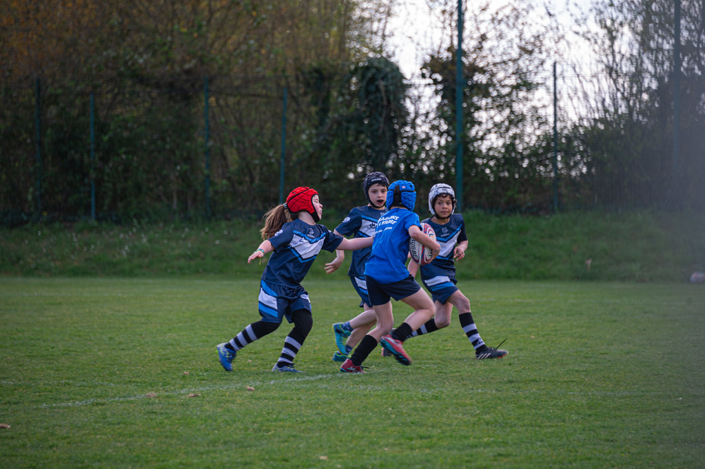 tournoi-de-latlantique-2026-adonis-griffon-87-55181288951-l