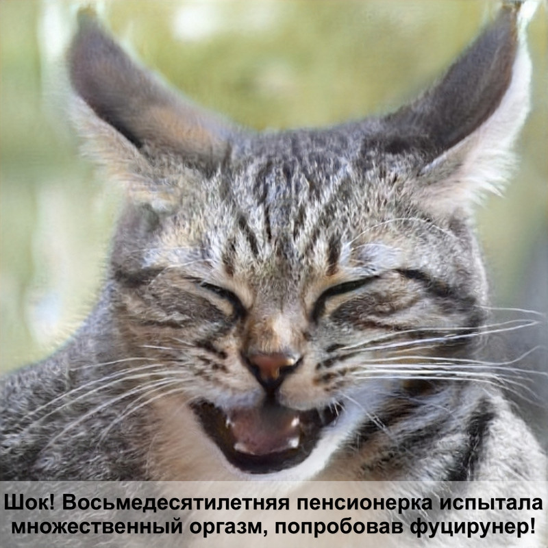 изготовление домиков для кошек