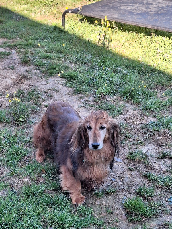 [Image: 20231001-102747.jpg]