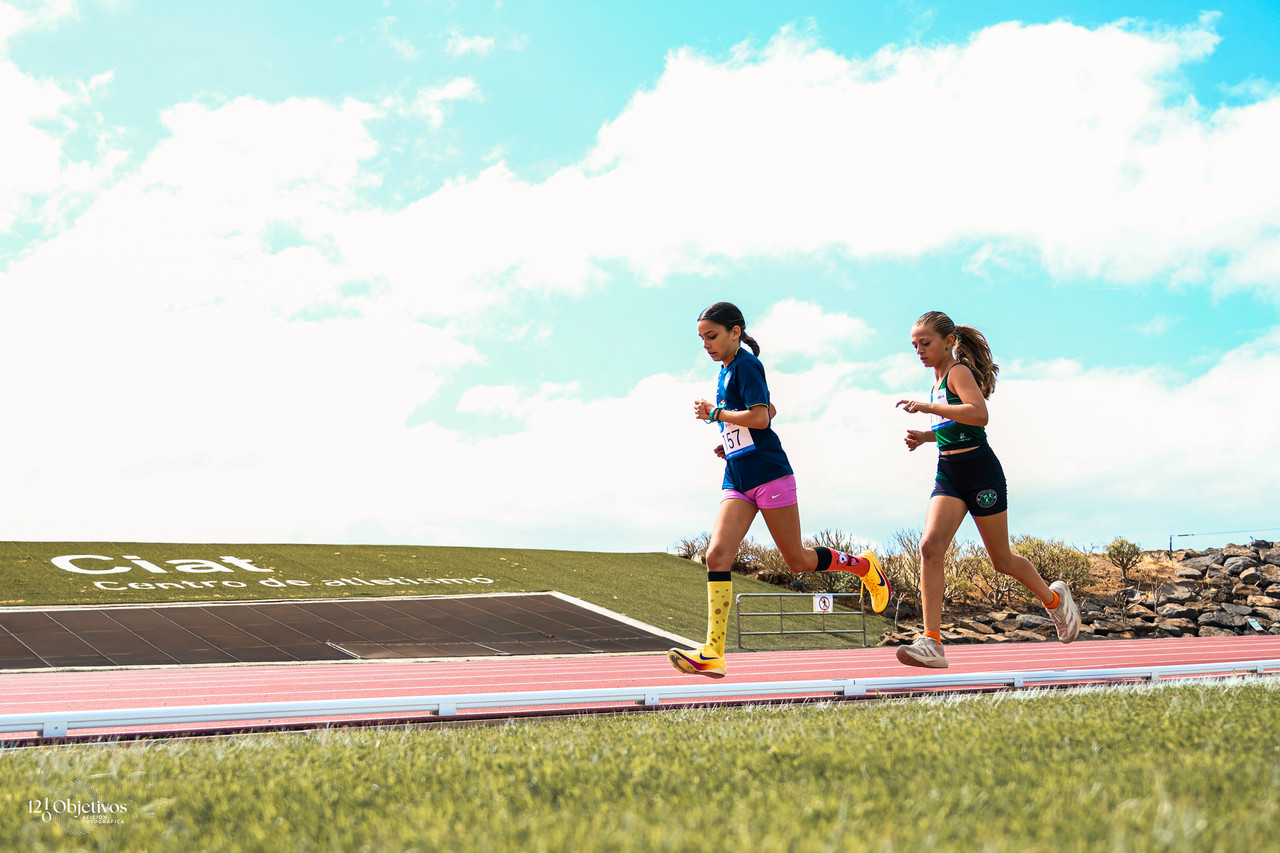 Canary Run 10