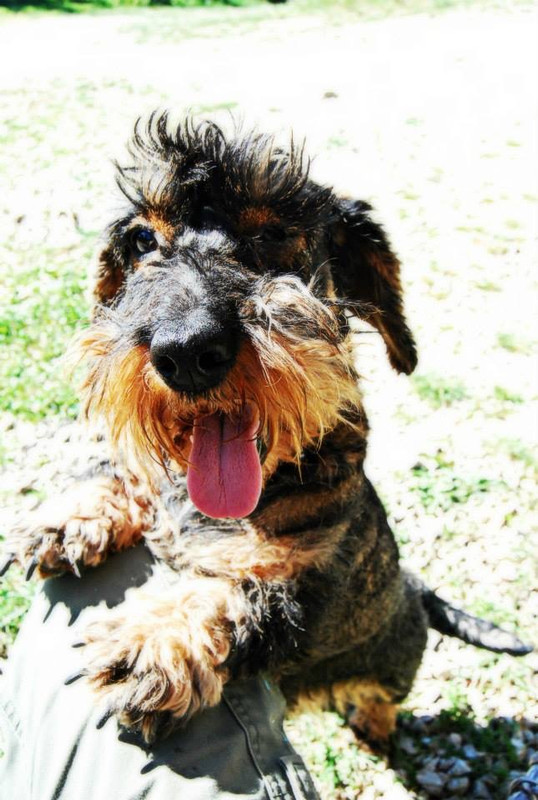 [Image: IMG-0080.jpg]