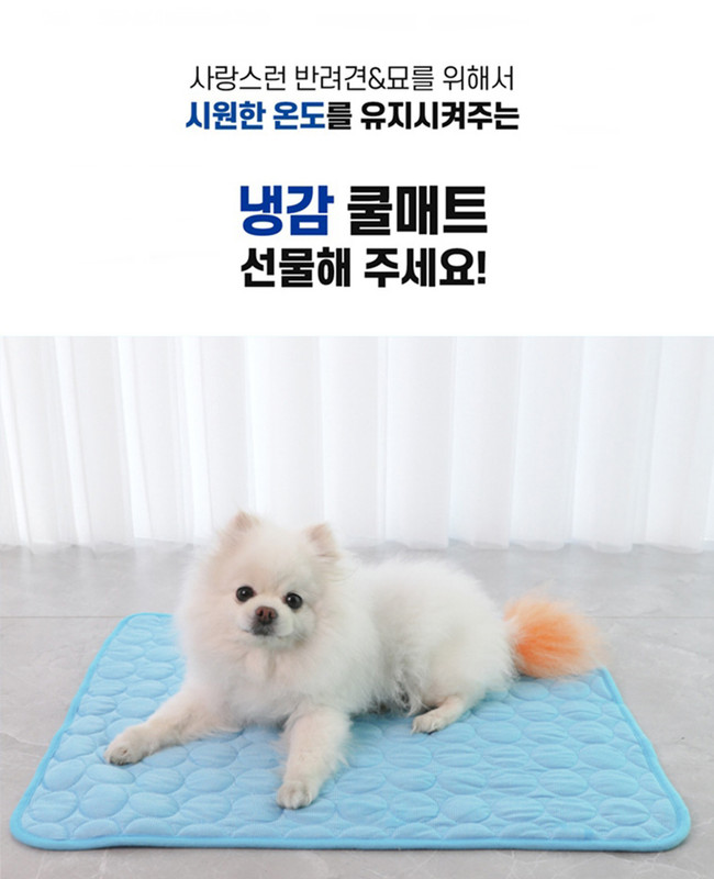 강아지 고양이 쿨매트 냉감패드 쿨방석 펫유모차 시트 이미지 2