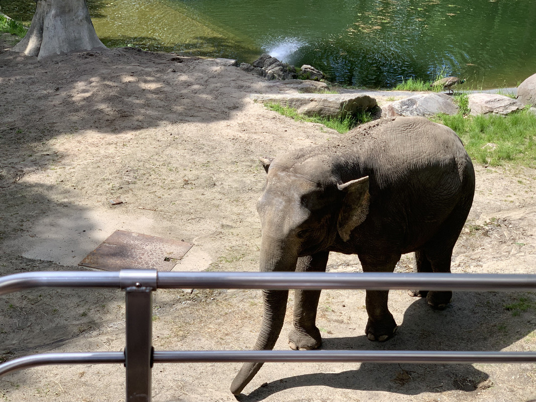 36BA3DA2-85B9-40B9-A871-F3A62FA83EFB