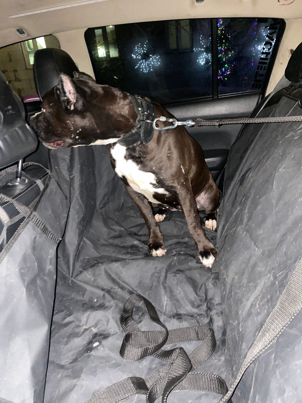 A2C6DA4C-F0E3-4F3E-A789-4429AD7A80E6