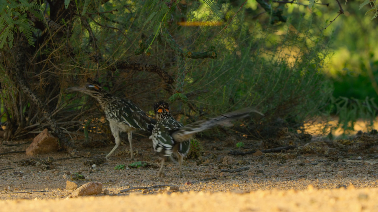 vlcsnap-2022-09-30-13h54m53s905