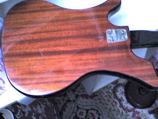 1358337186_3241_FT0_dsc00314