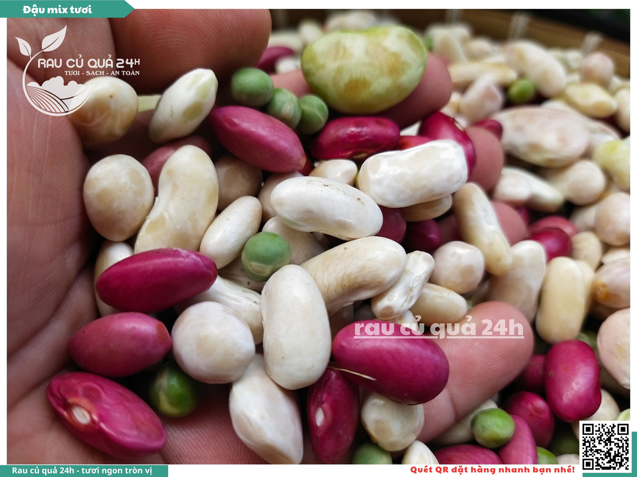 Đậu Mix Tươi 10