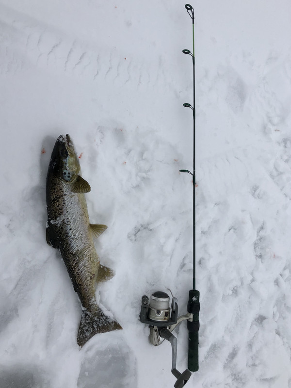 A300178E-F302-4E46-8E99-B3DD2DCE766D