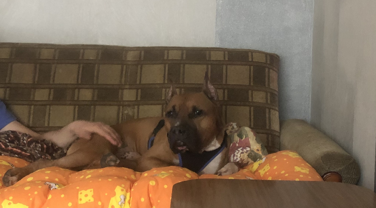 DE833D8E-6460-4B8B-BEE6-6C3D4615B313