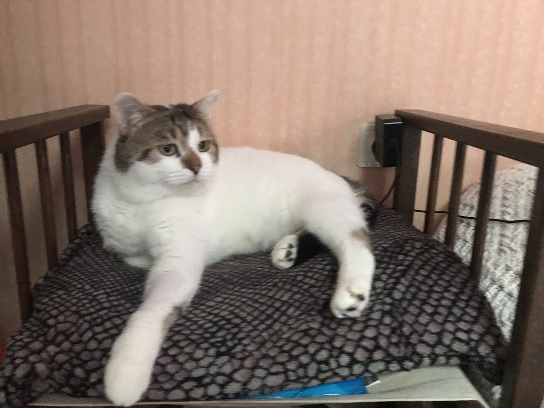 EBBA87C6-220D-4D3A-87AD-20D41096C1CB