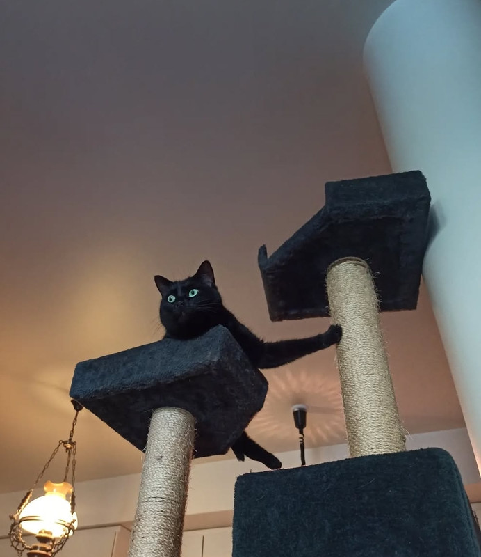 Screenshot_20250626_234140_com_instagram_android_InstagramMainActivity