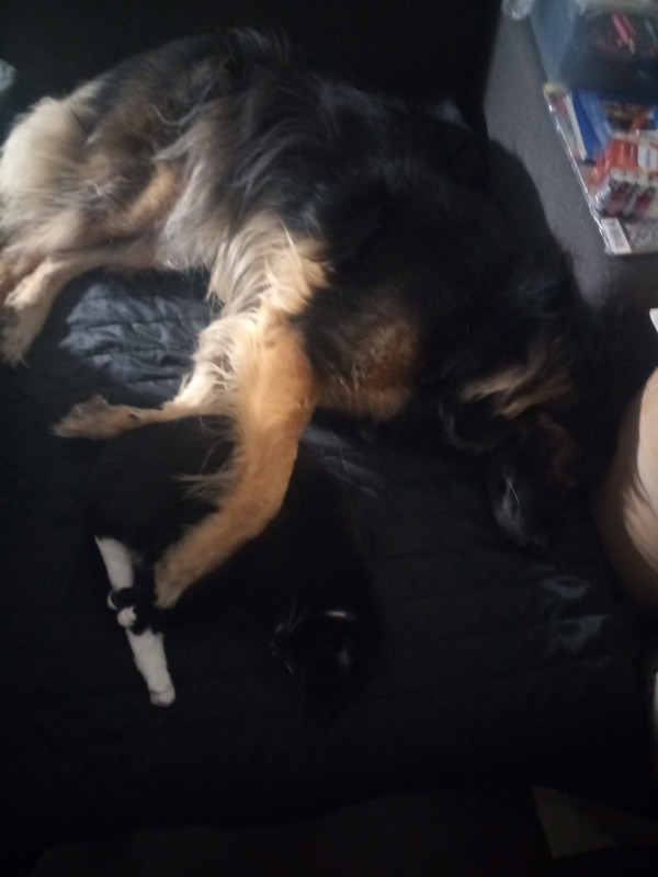 [Obrazek: IMG-20211110-204546-563-1.jpg]