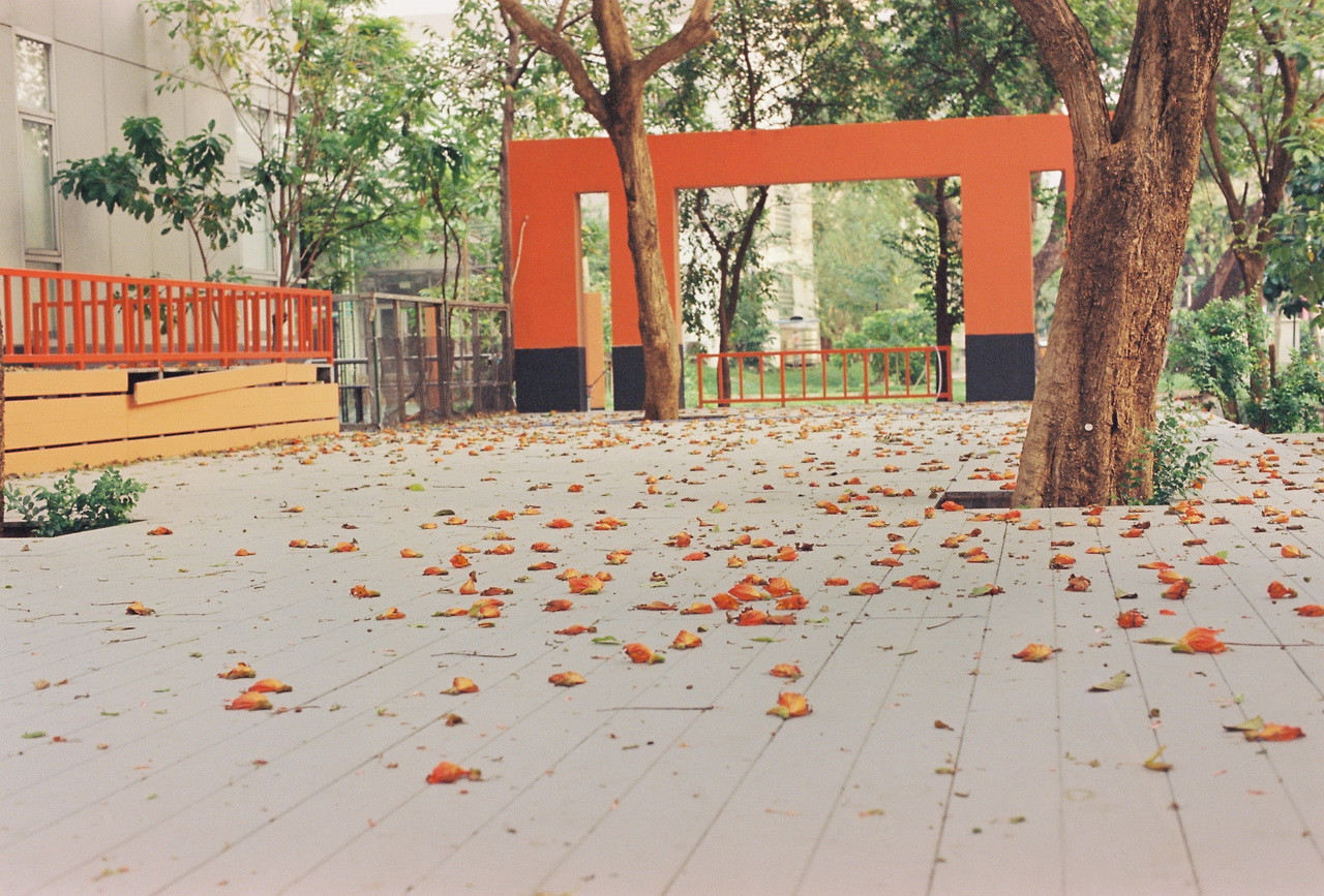 Vision3-250D-Spot-48