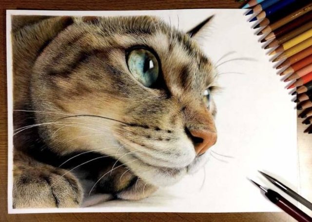 Fascinating-28