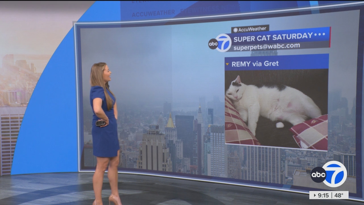 Eyewitness News This Morning_20250322_13001400.ts_snapshot_00.16.32.066