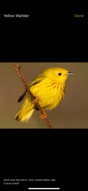 67D039E0-C799-4AE2-8076-89320968D36C