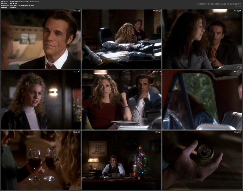 Profiler S03E08 Home for the Homicide.mkv