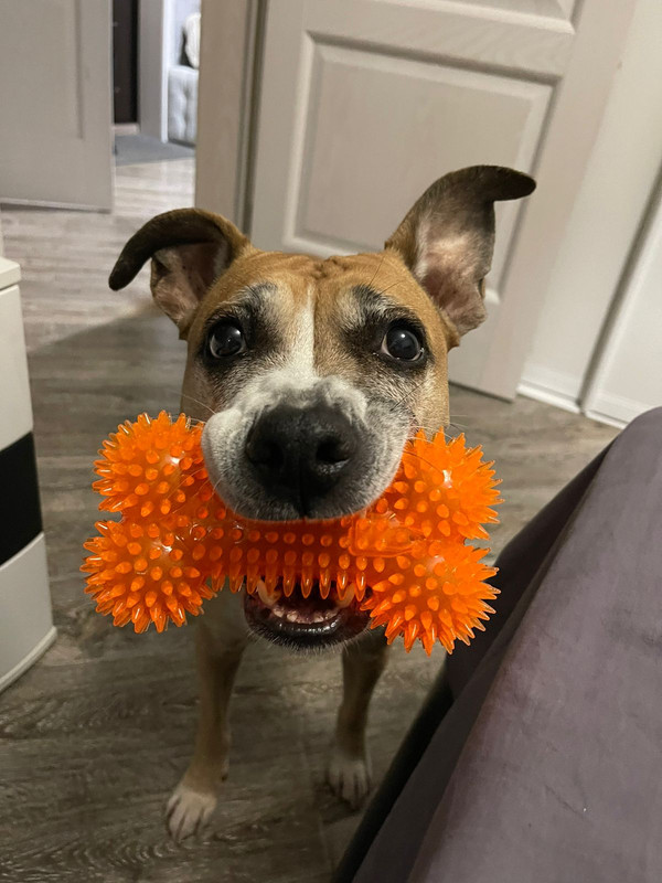 31820DC9-50D1-427C-97C6-57B5EC834B83