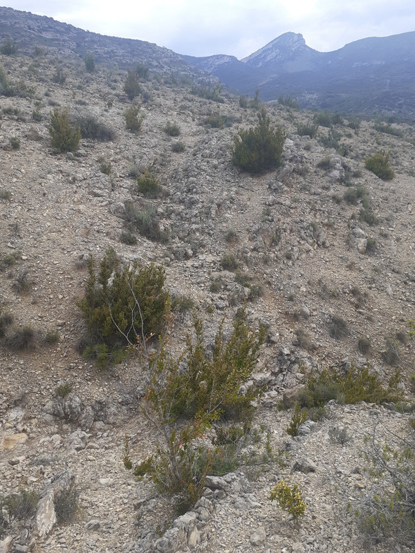 20230611_115056_optimized