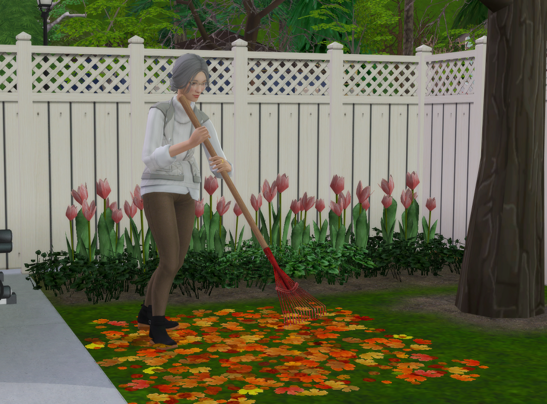 ksnip-20250218-201044