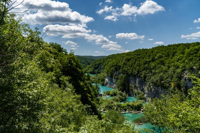 Paveikslėlis