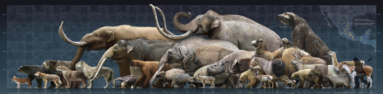 wI235d93OcAzrS-B8m_HnyYMHwmXrx0Cz0He4ioXFMM