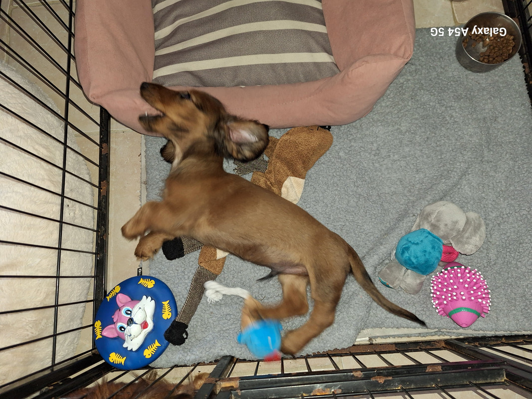 [Image: 20240908-101924.jpg]