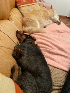 [Image: IMG-20240228-204817.jpg]