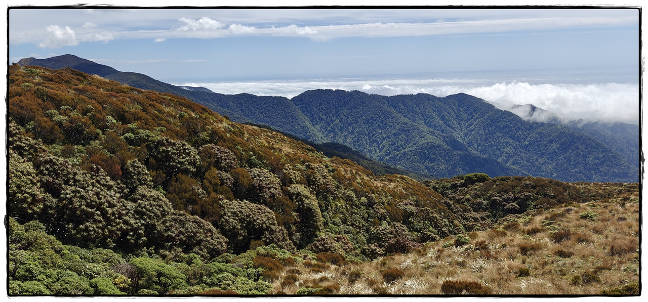 Paparoa NP: Paparoa Track (diciembre 2024) - Escapadas y rutas por la Nueva Zelanda menos conocida (18)