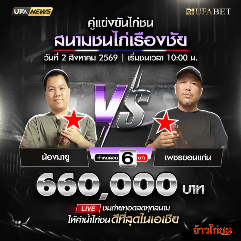โปรแกรมไก่ชนสนามชนไก่เรืองชัย 2 สิงหาคม 2569 น้องมายู พบ เพชรขอนแก่น