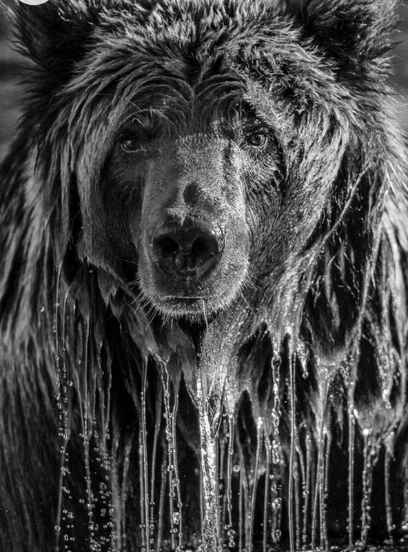 Screenshot_20230102_155539_Chrome