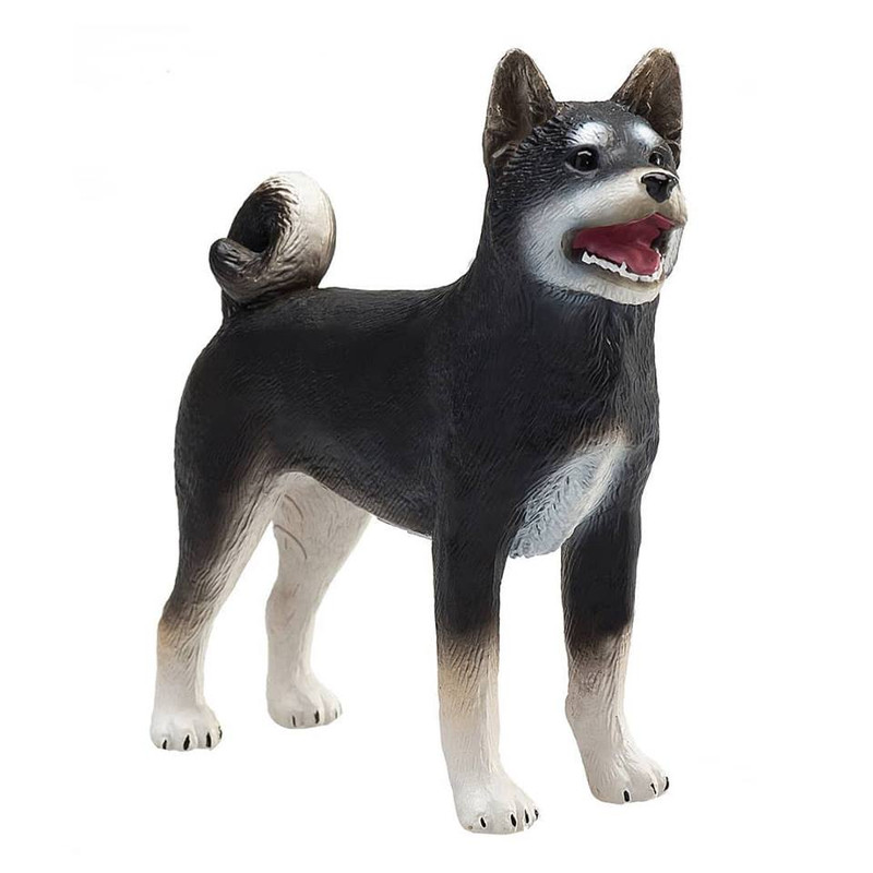 Mojö Fun 2019 Black Shiba Inu! 47574321-2243378949013781-2384487828953235456-n