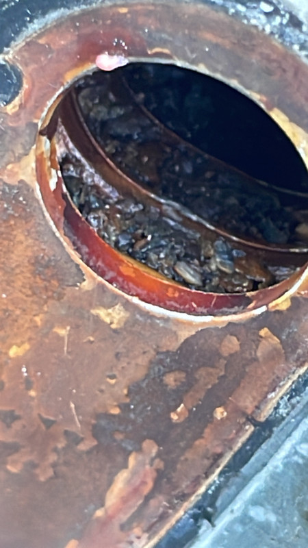 B761BF40-76B0-411A-856F-32581EC91F81