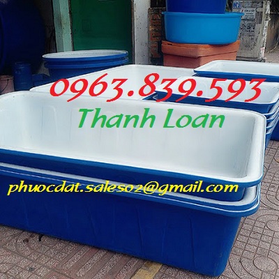 Thùng nuôi cá chữ nhật 1000L, thùng nhựa chữ nhật nuôi cá koi cảnh / 0963.839.593 Ms.Loan Thung-nhua-2-lop-nuoi-ca-canh-thung-nhua-chu-nhat-500l-750l-1000l-2000l