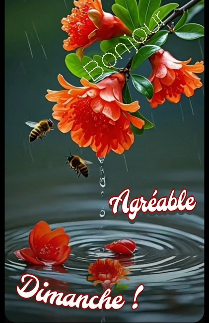 3d7f7960145728ad466e54a57e6cdd84