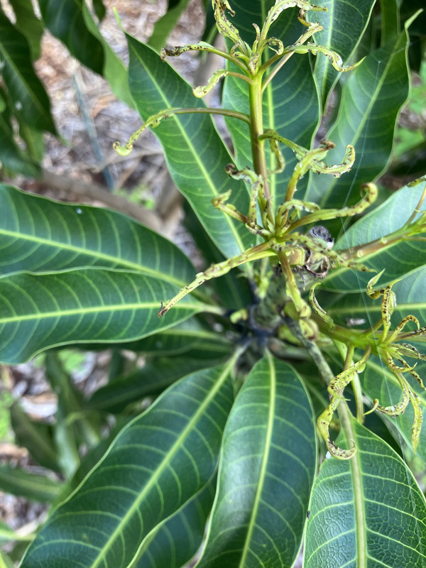 4D77D1F9-A363-474F-8B9D-660F50CF5C18