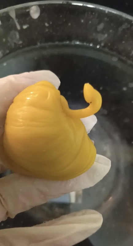 EDD5CC66-D4C7-4E3B-93A4-61F2812430E5