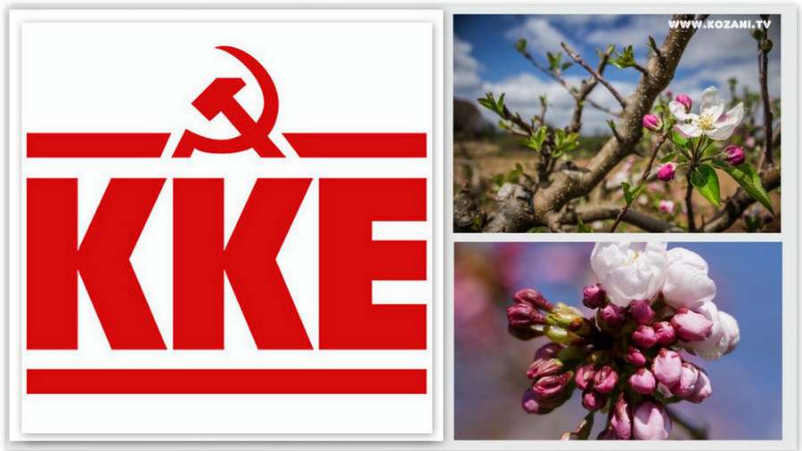κοζάνη, ειδήσεις, νέα, Πτολεμαΐδα 