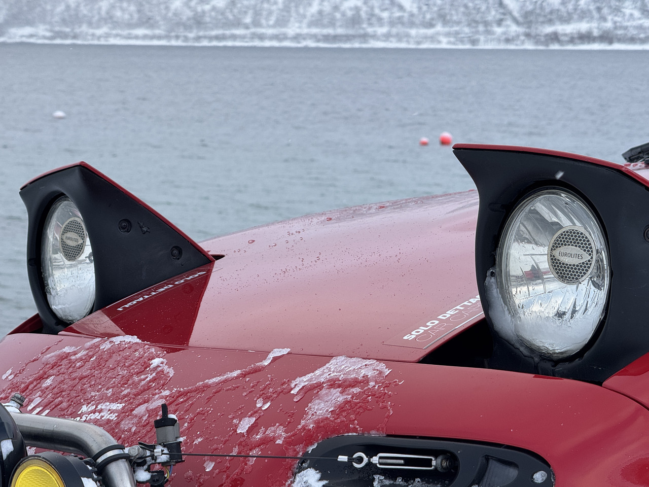 [Immagine: IMG-8314.jpg]