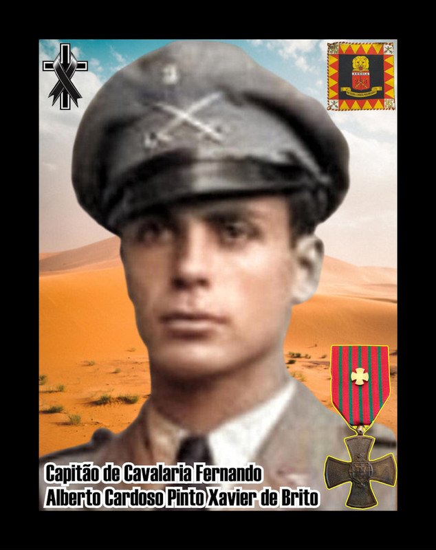 Fernando-Alberto-Cardoso-Pinto-Xavier-de-Brito-920