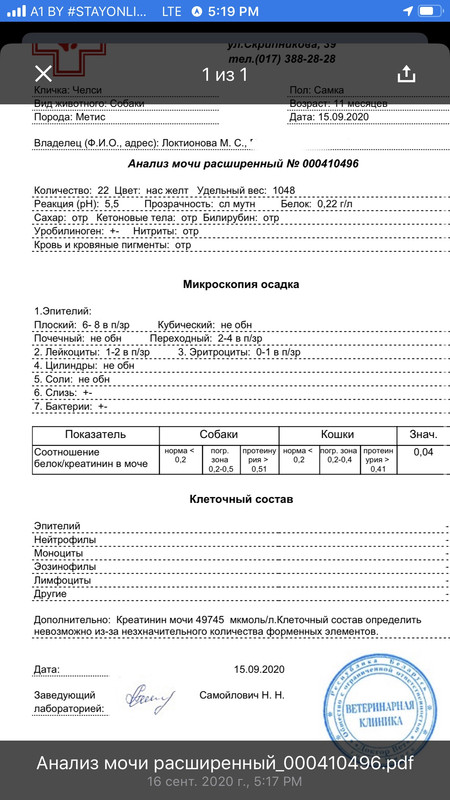 F7656380-B5BF-4984-A66D-1006B79B8793