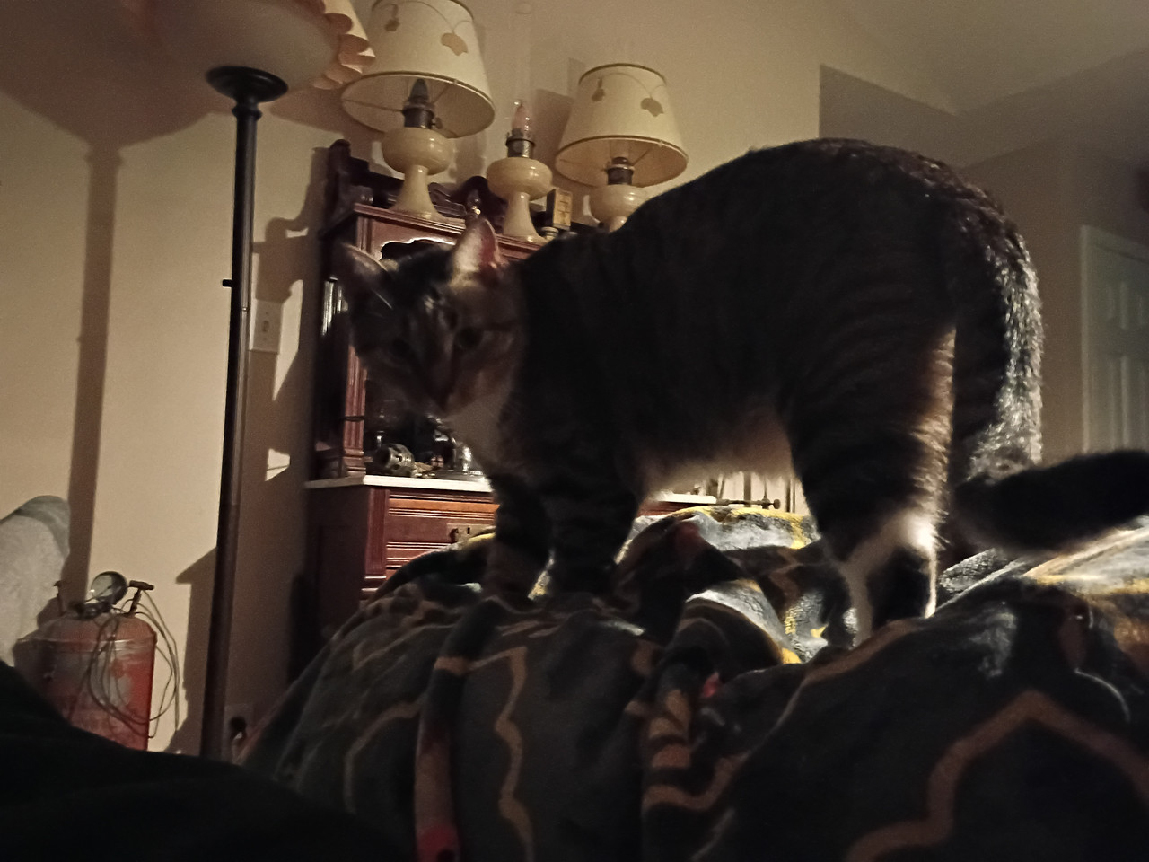 IMG 20251109 205128624