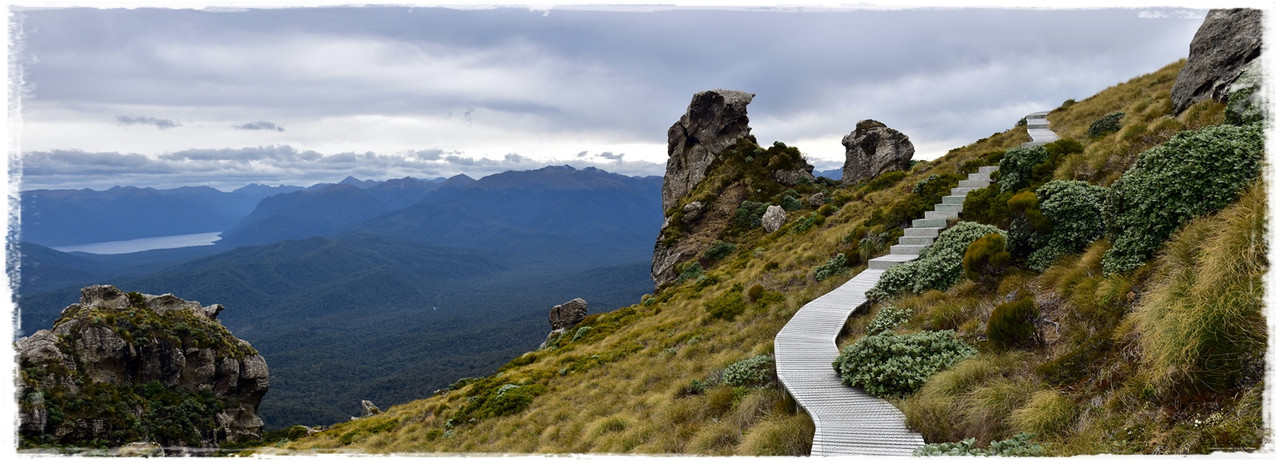 Escapadas y rutas por la Nueva Zelanda menos conocida - Blogs de Nueva Zelanda - Fiordland NP: Humpridge Track (febrero 2021) (27)