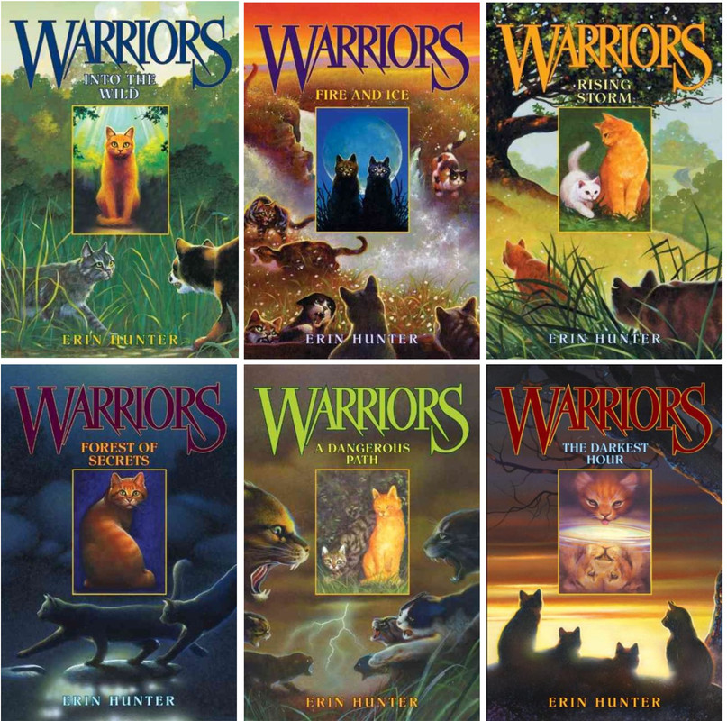 Warriors : The Broken Code Box Set: Volumes 1 to 6 by Erin Hunter