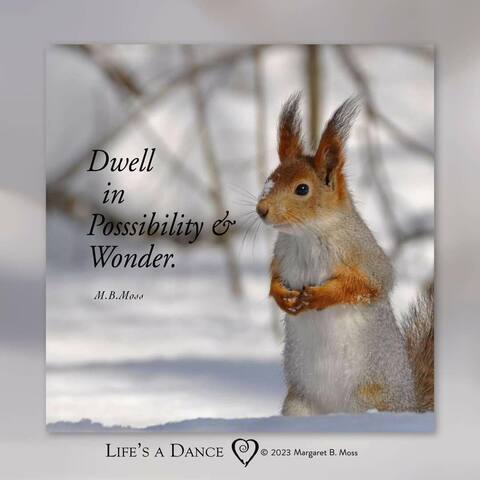 Dwell-in-Wonder